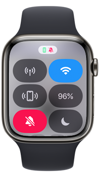 watchOS10以降のApple Watchではサイドボタンを押してコントロールセンターを表示する