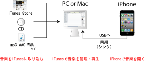 iPod iTunes 接続
