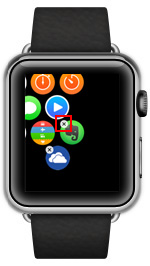 Apple Watchで削除したいアプリをタップする