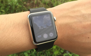 Apple Watchからiphoneのカメラでリモート撮影する方法 Apple Watch Wave