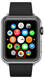 iPhoneからApple Watchに曲・音楽が転送される