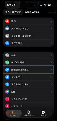 「明るさとテキストサイズ」を選択する