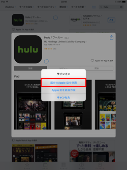 iPadで既存のApple IDでサインインする