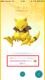 相棒ポケモンと一緒に歩いた距離を確認する