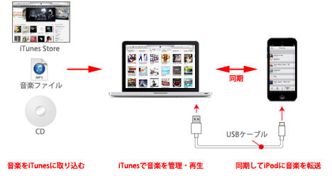 Ipodへの曲 音楽の入れ方 Ipod Wave