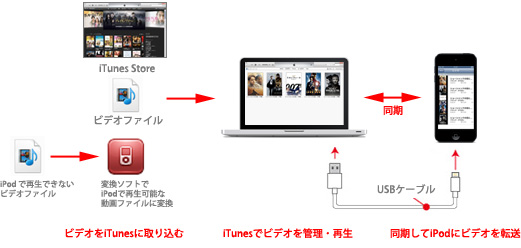 iPod iTunes 接続