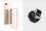 『iPhone 8』『iPhone 8 Plus』『Apple Watch Series 3』の販売が開始