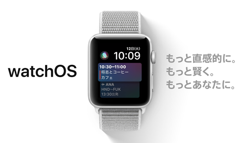 watchOS 4.2.3