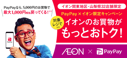 イオン PayPay