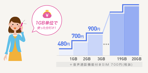 IIJmio モバイルプラスサービス 従量制プラン 料金