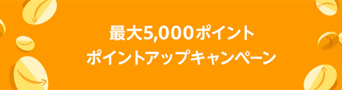 Amazon ポイントアップキャンペーン