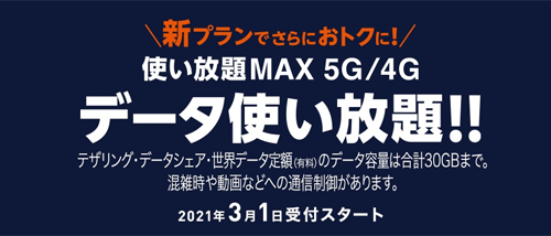 au 使い放題MAX 5G/4G