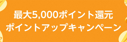 Amazon ポイントアップキャンペーン