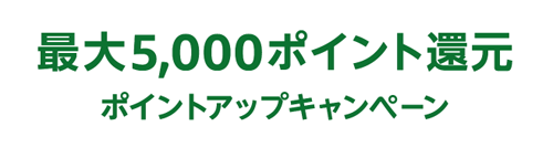 Amazon ポイントアップキャンペーン