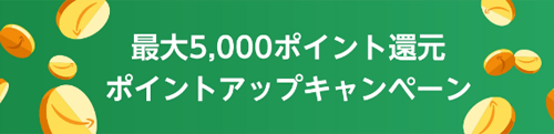 Amazon ポイントアップキャンペーン