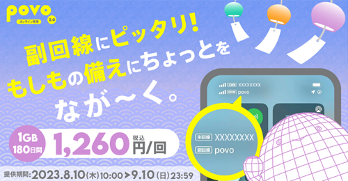 データ追加1GB(180日間)
