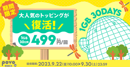データ追加1GB(30日間)