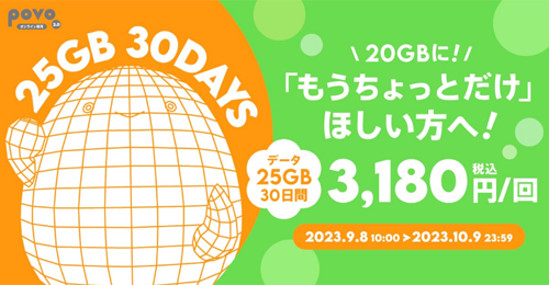 データ追加25GB(30日間)