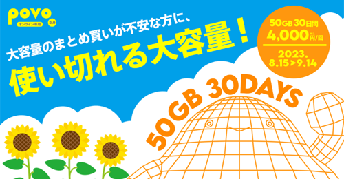 データ追加50GB(30日間)