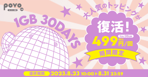 データ追加6GB(180日間)
