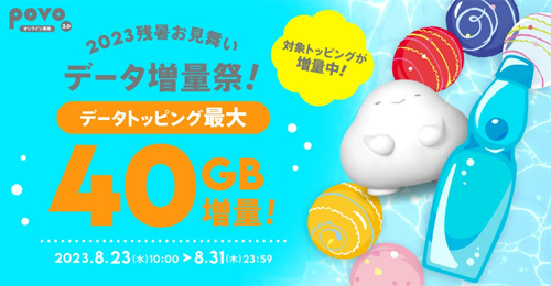 データ追加6GB(180日間)