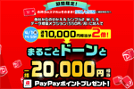 ワイモバイルにMNP&シンプル2 M/L&データ増量オプション加入で20,000円相当のPayPayポイントをプレゼントするキャンペーンが実施中