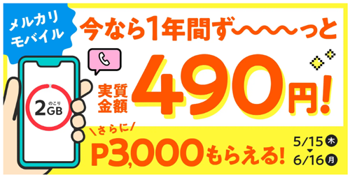 2GBプラン対象 1年間ずっと実質金額490円で利用できる&登録手数料が実質無料