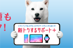 ソフトバンクが新しい端末購入プログラム「新トクするサポート＋」の提供を8月20日より開始