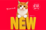 ワイモバイルが「超!おトク割」を7月17日から提供開始