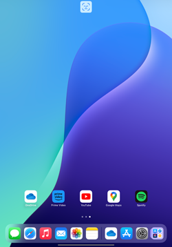 iPadでFace IDの顔認証を行うとアプリがロックされる