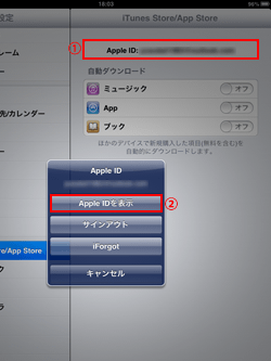 iPad/iPad miniでApple IDを表示する