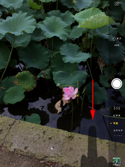 iPad/iPad miniのカメラで写真を暗くする