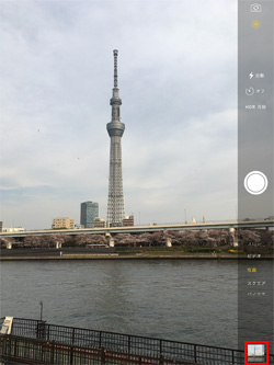 iPadで撮影した「Live Photos」を表示する