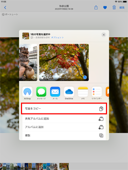 iPadで画像をコピーする