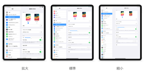 iPadで拡大表示の設定画面を表示する