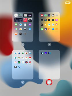 iPadのホーム画面でページごとアイコンを非表示にする