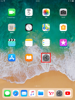 iPadで設定を表示する