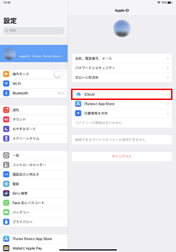 iPadでiCloud設定画面を表示する