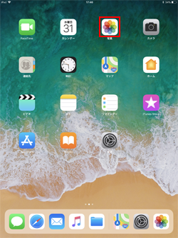iPadで写真アプリを起動する