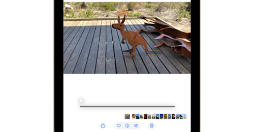 iPadの「写真」アプリで動画(ビデオ)の自動再生を止める(自動で再生開始を止める)方法