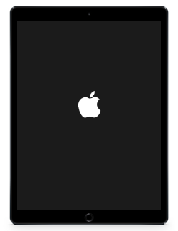 iPadの電源がオンになるとアップルのロゴマークが表示される
