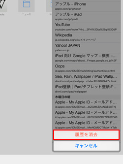 iPad/iPad miniのSafariアプリで履歴を削除する
