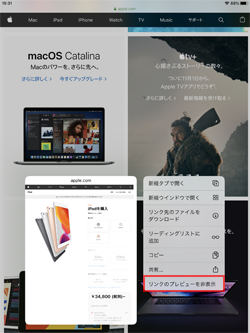 iPadのSafariでリンクのプレビュー画像を非表示にする