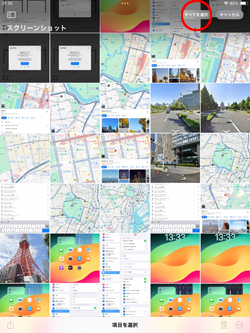 iPadでスクリーンショットを一括削除する