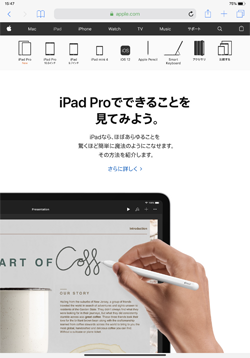 iPad Proを有線LANでインターネット接続する