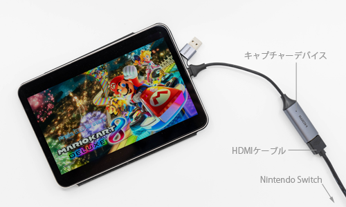 Nintendo SwitchのゲームをHDMI出力してiPadを外部モニター(ディスプレイ)として使用する