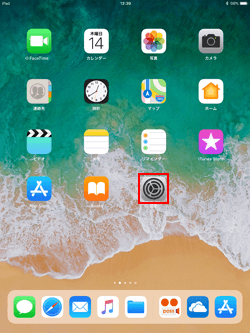 iPadで設定アプリを起動する