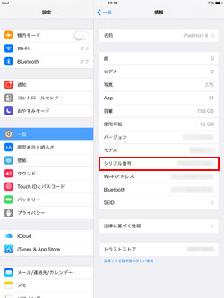 Wi-Fi版iPadでシリアル番号を表示する
