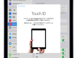 iPad mini 3 指紋認証