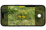 iPhoneの「カメラコントロール」ボタンでフォーカス/露出(AF/AE)を固定する